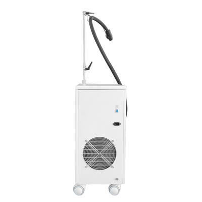 800w Mesin Wajah Cryotherapy -20c Cryotherapy Zimmer Mesin Pendingin Kulit
