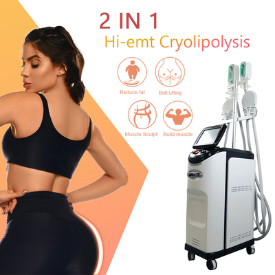 Mesin Cryolipolyse EMS 360 Penghapusan Selulit Pembekuan Lemak Cryo