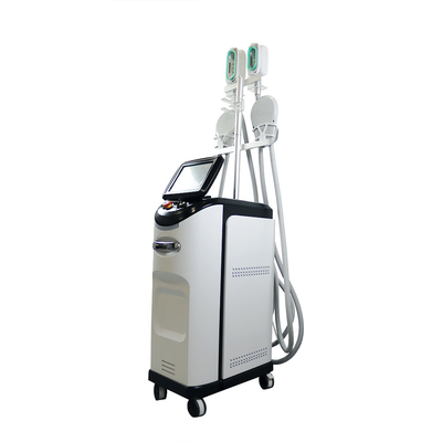 Mesin Cryolipolysis Lanjutan Untuk Peningkatan Penurunan Berat Badan Dan Penciptaan Tubuh