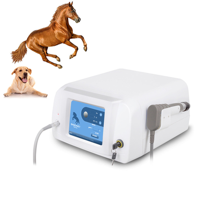 Kuda Veterinary Portable Ultrasound Shockwave Therapy Mesin Penghilang Nyeri