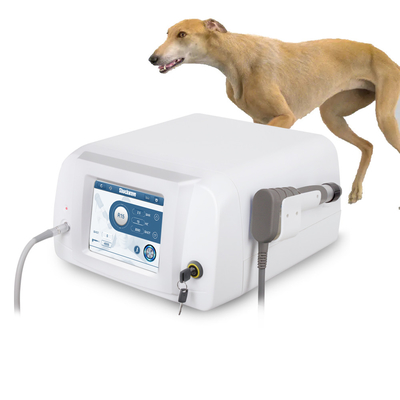 Pneumatic Pain Relief Shockwave Perangkat Veterinary Shockwave therapy Mesin untuk kuda