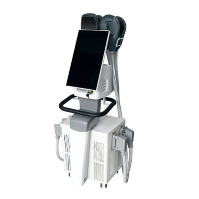 Profesional Ems Stimulator Otot Ems Mesin Penurunan Berat Badan Dengan Rf 14 Tesla Ems Mesin Patung