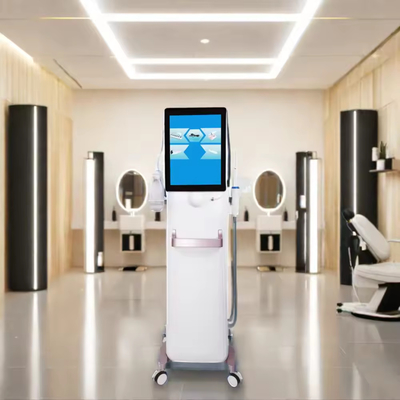 Mesin HIFU 4D Profesional Intensitas Tinggi Fokus Ultrasound dengan Spot Energi untuk Perawatan
