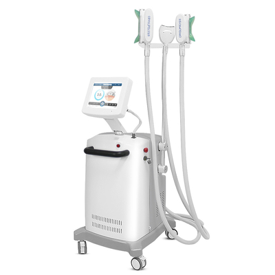 2000W 100kpa Mesin Pelangsing Cryolipolysis Tubuh Wajah