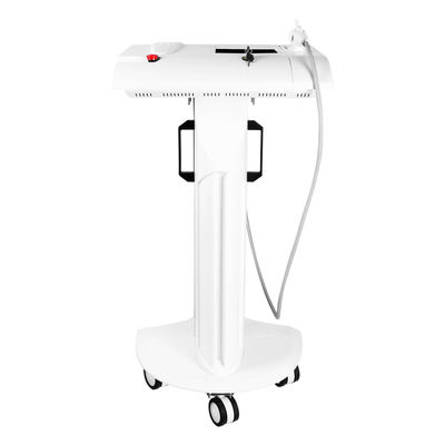 Mesin RF Microneedle Fraksional Pengetatan Kulit Stasioner
