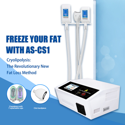 Mesin Cryolipolysis Lipo Portable Cryo Fat Freezer untuk Menghilangkan Lemak Dagu Ganda