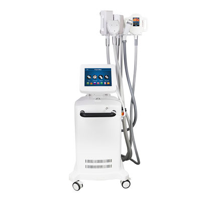 150W RF Cryolipolysis Slimming Machine Solusi Pembekuan Lemak Ultimate dengan Laser Diode AlGalnp 635-650nm Wavelength