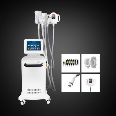 5 Menangani Mesin Pelangsing Cryolipolysis Mesin Pengurang Lemak Perut