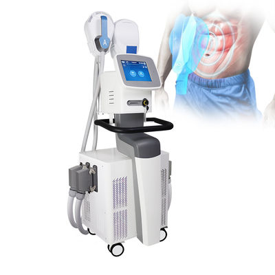 4 Menangani Mesin EMS SCULPTING EMS Sertifikat CE untuk Body Slimming Muscle Buliding