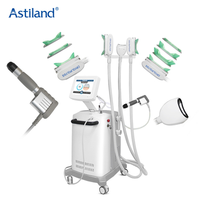 Cryolipolysis Slimming Shockwave 2 In 1 Mesin Perlengkapan Spa Estetika